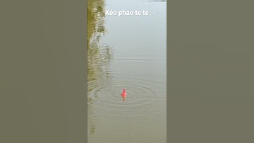 Kéo Phao Là Dính #câucárôđồng #caucaro #câucárô