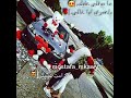 مابيغلا عليك حالات واتس اب حب مابيغلا عليك حالات واتس اب حب