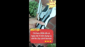 Bộ 4 món dụng cụ cắt tỉa cây cảnh bonsai #câycảnh #bonsai #dungculamvuon