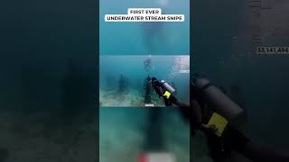 First Ever Underwater Stream Snipe