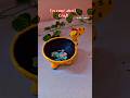 coconut shell craft idea/coconut shell organizer/best out of waste #shortviral #coconutshellcraft