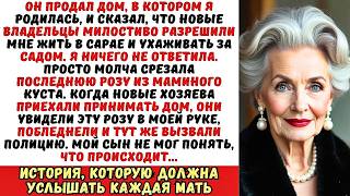 видео: Сын продал мою дачу вместе со мной. «Будешь теперь садовницей у новых хозяев!» — сказал он. картинка: Сын продал мою дачу вместе со мной. «Будешь теперь садовницей у новых хозяев!» — сказал он.