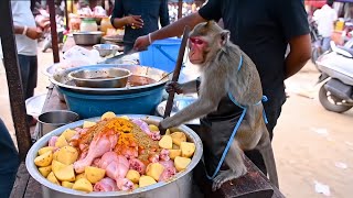 Indian Monkey Chef Making Chicken Legs Curry
