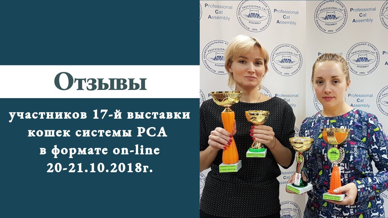 клуб кошек хабаровск Отзывы участников 17-й выставки кошек on-line системы PCA