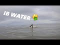 POV Surfing in IB after it rains 🤮