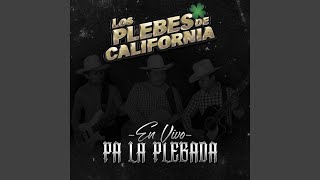Video thumbnail of "Los Plebes De California - Llegue Mire y Conquiste (En Vivo)"