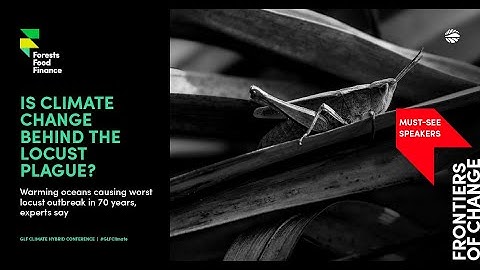 The Interconnectedness Between the Ongoing Desert Locust Crisis 2019-2021+ and the Climate Crisis