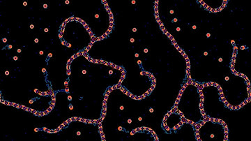 Compilation of Cross-Channel Selective Multiple Neighborhood Cellular Automata