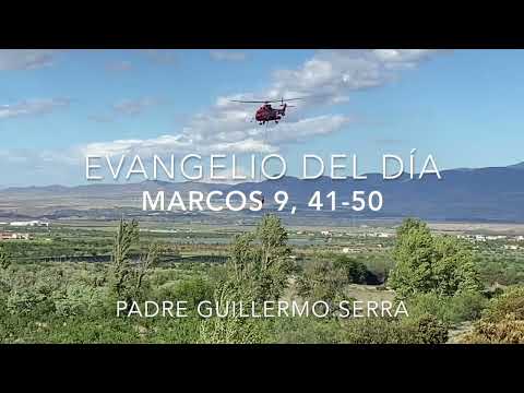 ✴️ EVANGELIO de HOY 24 de FEBRERO 📌 PADRE GUILLERMO SERRA   MARCOS 9, 41-50