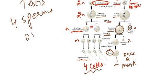 INHERITED CHANGE VIDEO 2  BIOLOGY 9700