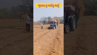 જુવાર નું ભરોટુ ભર્યુ trending shorts shortvideo viral