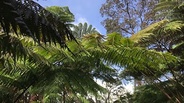 Advent Reflections - December 9, 2024