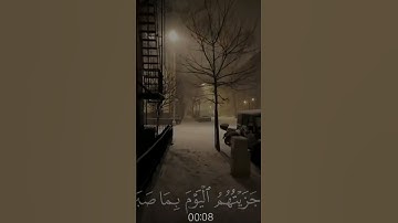 اني جزيتهم اليوم بما صبروا انهم هم الفارءزون القارئ اسلام صبحي #قران_كريم #اسلام_صبحي