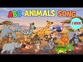 ABC Animals Sounds Song + Alphabet Animals 1 Hour| Learn ABC With Animals Song | Little Kitten Learn