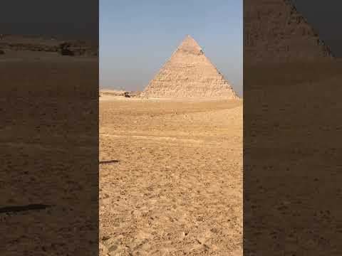 ظهرت يا شيب  ظهرت يا شيب