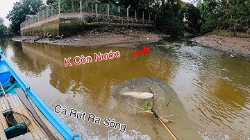 Cá Rút Hết Ra Sông Lớn Con Nước Hôm Nay Quá Cạn | Kích Cá Miền Tây | Catch Fish