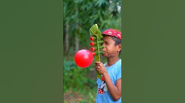 DIY Creative Bamboo Instrument with Colourful Balloons