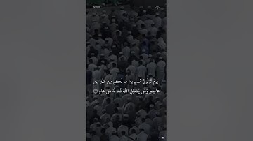 مقتطف من تلاوة الشيخ #محمد_برهجي من فجرية 7 محرم 1447هـ