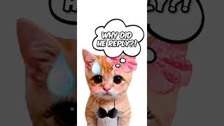 Why does the kitty miss you but still ignore you? Explain with kitties