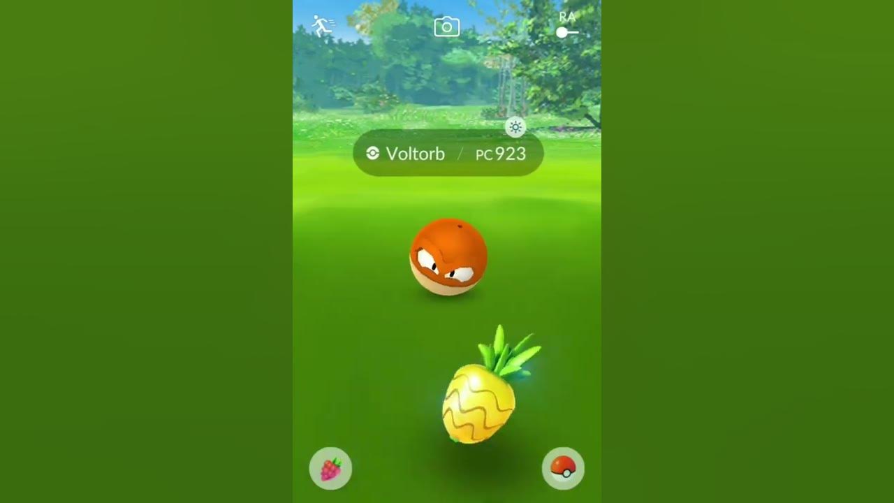 Como Encontrar Voltorb de Hisui em Pokémon GO