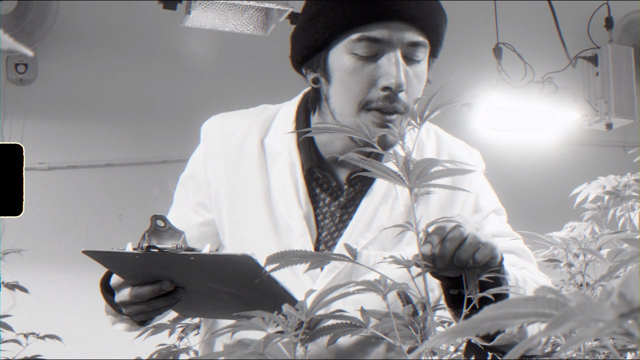 NugLife - All I Wanna Do [Official Video]