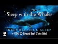 9 hour delta waves deep sleep with whales 432hz binaural beats  theta state  frequency