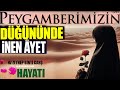 Hz zeyneb binti cah ran hayat peygamberimizin hanm