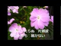 はぐれ舟(大川栄策)Cover Song by leonchanda