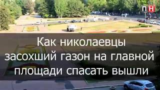 Николаевцы с депутатами вышли газон на площади спасать