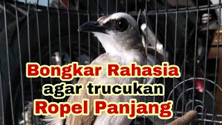 Cara agar trucukan ropel panjang