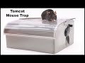 The Tomcat Multi-Catch Mouse Trap Has Some Major Flaws But We Still Caught a Mouse -Mousetrap Monday