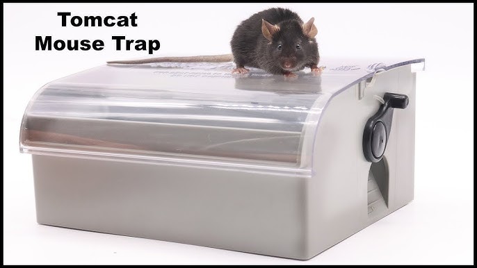 Catchmaster Easy Set Mouse Snap Trap 605P