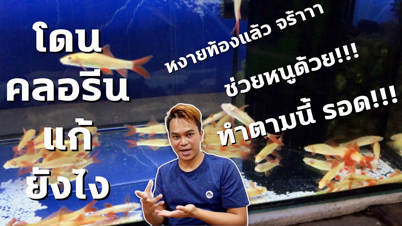 โดนคลอรีน ซะแล้ว…แก้ได้ไม่ยาก :ฮัลโหล พาเพลิน EP.19