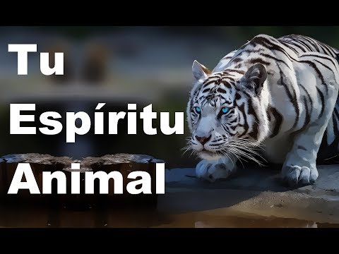 Vídeo: Animal Totem Por Signo Do Zodíaco: Qual é O Adequado