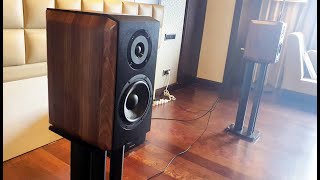 Menyimak Speaker Polytron Audivo PHS 6A/S  Generasi Kedua