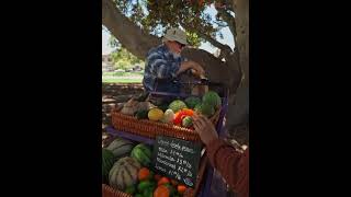 Man Selling Fruit and vegetables #shorts