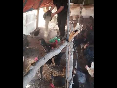 شفتي داك الباب لي مسدود فوجهك غادي يتحل تيق فالله الله يفتح ليكم بيبان الخير يارب خلي متبع صفحه