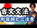 入試古典文法～ジャンル別演習～形容詞の重要用法！【古文読解・大学入試】