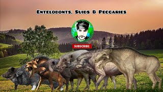 PIGS size comparison, entelodonts, suids, peccaries. by RB Dahri 20,598 views 2 years ago 4 minutes, 1 second