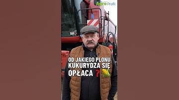 Od jakiego plonu kukurydza się opłaca?