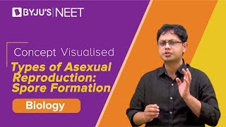 Reproduction in Organism Class 12- Types of Asexual Reproduction: Spore Formation | BYJU's NEET