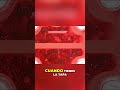Consejos para tu Colonia de Messor Barbarus: ¡Tranquilidad! #shorts