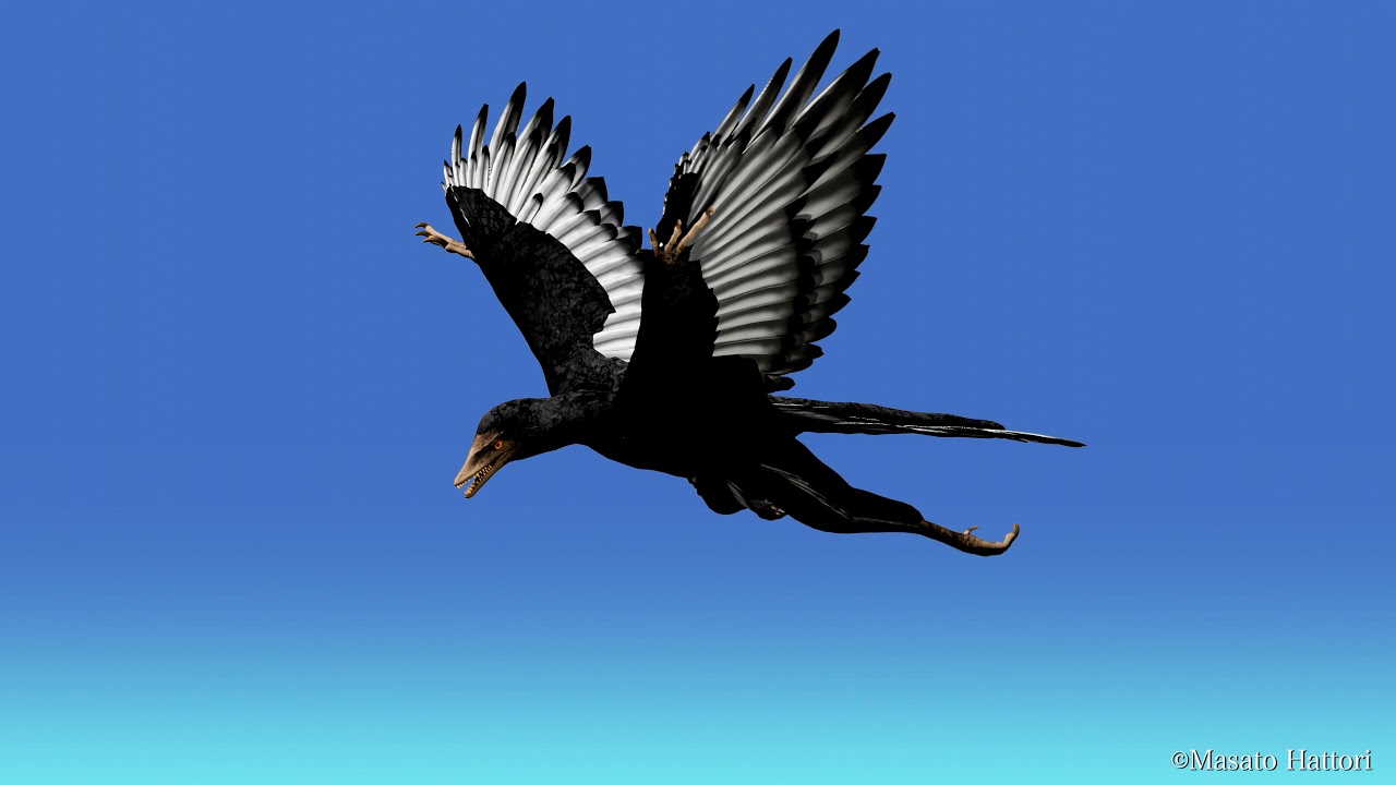 始祖鳥と飛ぼう！ Flying with Archeopteryx - YouTube