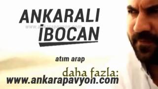 Ankaralı İbocan   Atım Arap Resimi
