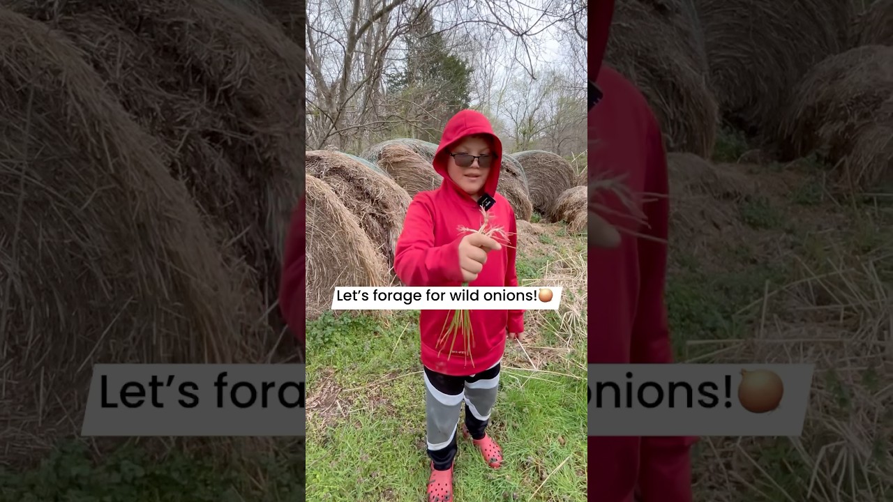 Let’s learn how to forage for wild onions! 🧅🤩 
