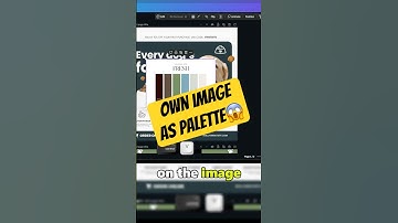How to use your own COLOR PALETTE in Canva #short #canvatips #canvatricks