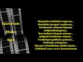 Inkem Inkem Inkem Karaoke Lyrics Scale Lowered