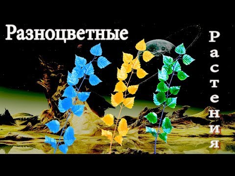 Почему растения зеленые? Какой цвет растений на других планетах?