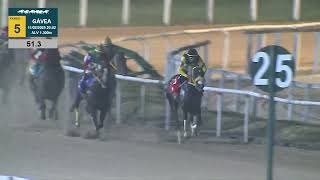 Vidéo de la course PMU PREMIO IRISH LOVER