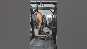 Parallel bar dips #shorts #triceps #workout #parallelbardips #viral #shortvideo #viralshorts #gym